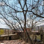 Teitipac Cabin By LAMZ Arquitectura - Sheet23