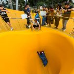 The Discovery Slides By Carve