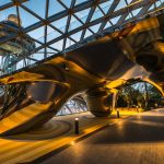 The Discovery Slides By Carve