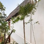 Jungle Keva By Jaquestudio - Sheet14