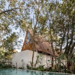 Jungle Keva By Jaquestudio - Sheet15