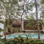 Jungle Keva By Jaquestudio - Sheet18