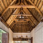 Jungle Keva By Jaquestudio - Sheet19