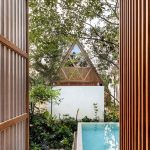 Jungle Keva By Jaquestudio - Sheet2