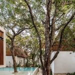 Jungle Keva By Jaquestudio - Sheet20