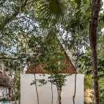 Jungle Keva By Jaquestudio - Sheet21