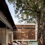 Jungle Keva By Jaquestudio - Sheet22