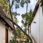 Jungle Keva By Jaquestudio - Sheet23