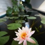 ECO360 By Geotectura - Sheet16