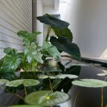 ECO360 By Geotectura - Sheet17