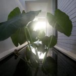ECO360 By Geotectura - Sheet18