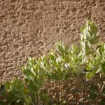 ECO360 By Geotectura - Sheet23