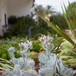 ECO360 By Geotectura - Sheet15