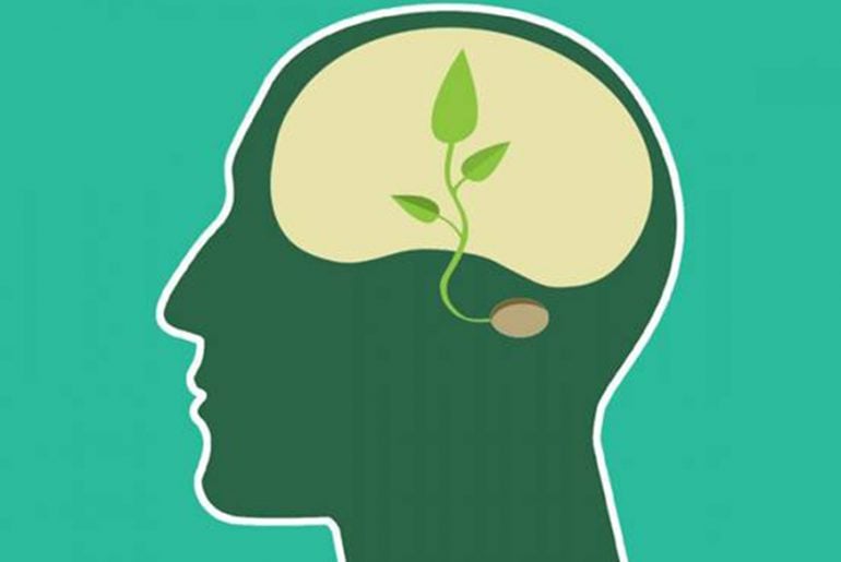 Career Advice for Aspiring Environmental Psychologists