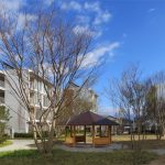 25 Projects by Fumihiko Maki- Passsivetown, 2nd block