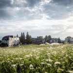 Gloriette A travel through time By noa network of architecture - Sheet3