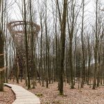 Forest Tower By EFFEKT - Sheet2