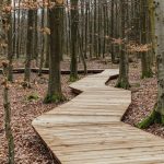 Forest Tower By EFFEKT - Sheet3