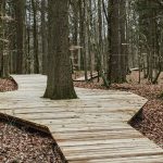 Forest Tower By EFFEKT - Sheet4