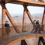 Forest Tower By EFFEKT - Sheet44