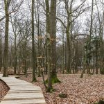 Forest Tower By EFFEKT - Sheet6