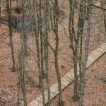 Forest Tower By EFFEKT - Sheet7