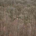 Forest Tower By EFFEKT - Sheet8