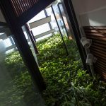 Patarson 3 By AR43 Architects - Sheet9