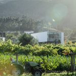 The Gafarim House By Tiago do Vale Arquitectos - Sheet6