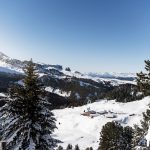 Zallinger By noa network of architecture - Sheet10