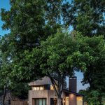Hewn House By Matt Fajkus Architecture - SHeet1