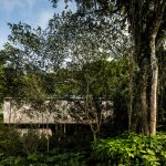 Jungle House By studio mk27 - Sheet1