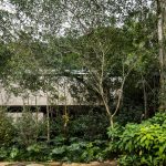 Jungle House By studio mk27 - Sheet2