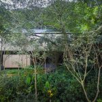 Jungle House By studio mk27 - Sheet3