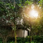 Jungle House By studio mk27 - Sheet7