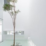 V House By COTAPAREDES Arquitectos - Sheet8