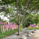 Parque O2 By Taller KEN's FUNdaMENTAL - Sheet11