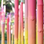 Parque O2 By Taller KEN's FUNdaMENTAL - Sheet5