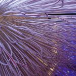 Millennials Tube Pavilion By Quintrix Architects - Sheet5