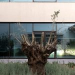 Factory in Attica By Studio NL - Sheet10