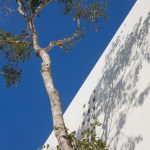 Riviera Maya House By Cadaval & Solà-Morales - Sheet11
