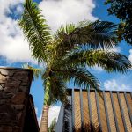 Bamboo House By Vilela Florez - Sheet6