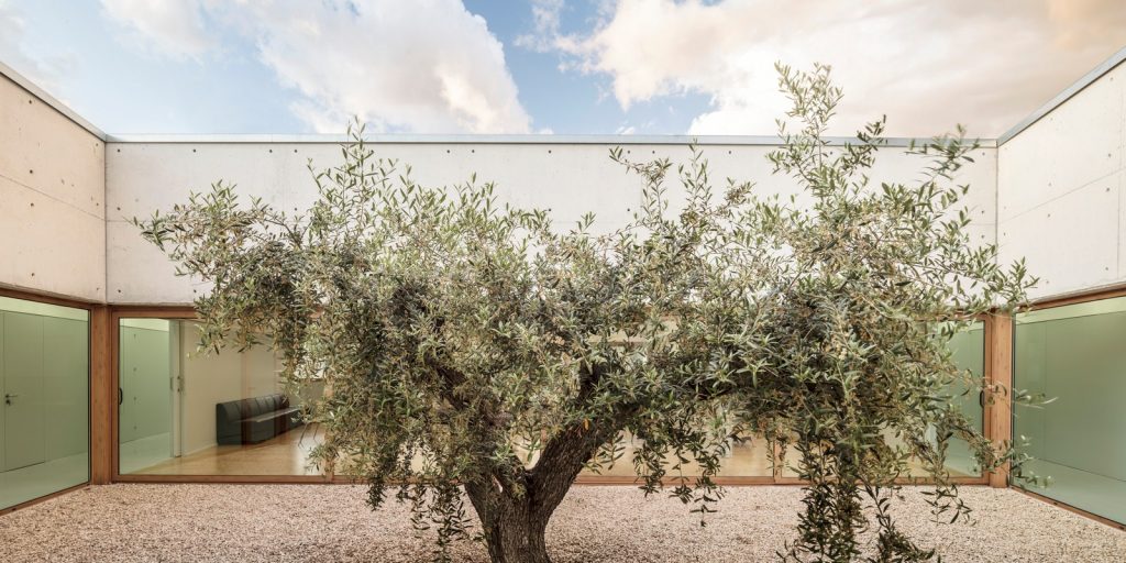 Day center and Home for the elderly of Blancafort By Guillem Carrera - Sheet15