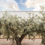 Day center and Home for the elderly of Blancafort By Guillem Carrera - Sheet15
