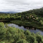 Tree Houses By Peter Pichler Architecture - Sheet1