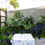 Jacupiranga House By CR2 Arquitetura - Sheet3