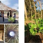 Green Shoots Cambodia by Squire and Partners - Sheet7