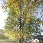 Swirling Cloud Bulletin Pavilion for BJFU Garden Festival by SUP Atelier - Sheet33