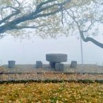 Swirling Cloud Bulletin Pavilion for BJFU Garden Festival by SUP Atelier - Sheet36