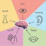 Keys to making Architecture memorable - Involve the senses